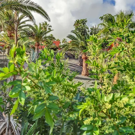 Oasis Royal 2 Bedrooms Ground Floor Apartment Corralejo