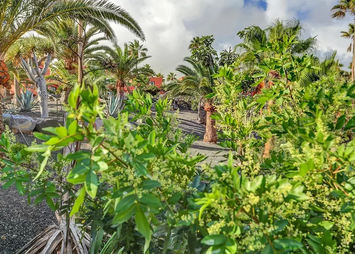 Oasis Royal 2 Bedrooms Ground Floor Apartment Corralejo